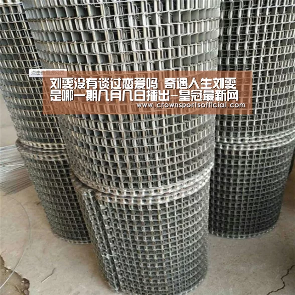 刘雯没有谈过恋爱吗 奇遇人生刘雯是哪一期几月几日播出-皇冠最新网站(图2)